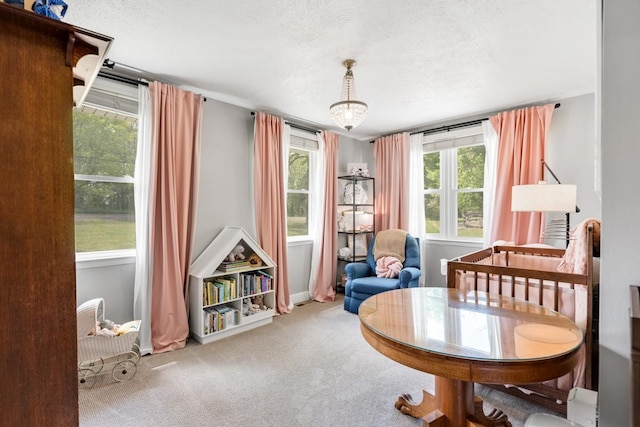 5070 Ridge Rd, Joelton, TN 37080 - sitting room with baseboards, carpet floors, and a textured ceiling