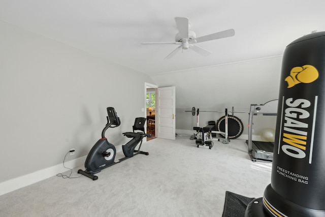 1494 Grant Rd, Watertown, TN 37184 - exercise area featuring carpet flooring, a ceiling fan, and baseboards