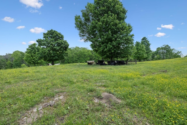 1494 Grant Rd, Watertown, TN 37184 - view of yard featuring a rural view