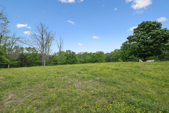 1494 Grant Rd, Watertown, TN 37184 - view of local wilderness featuring a view of trees