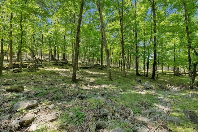 1494 Grant Rd, Watertown, TN 37184 - view of local wilderness