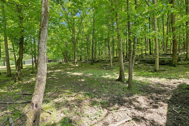 1494 Grant Rd, Watertown, TN 37184 - view of yard