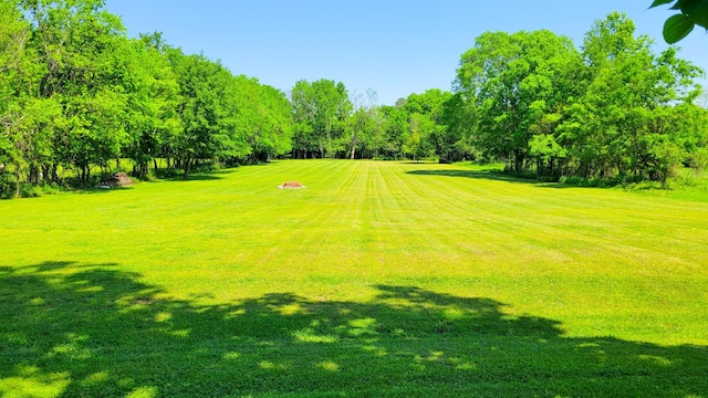 4471 Seminary Rd, Smyrna, TN 37167 - view of yard with view of golf course