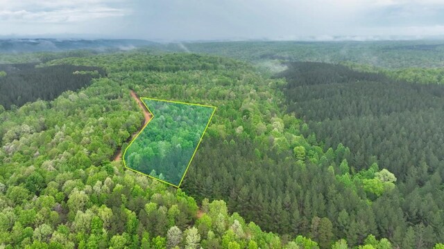 0 Old Mail Rd, Duck River, TN 38454