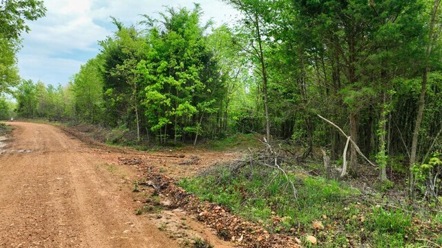 0 Old Mail Rd, Duck River, TN 38454
