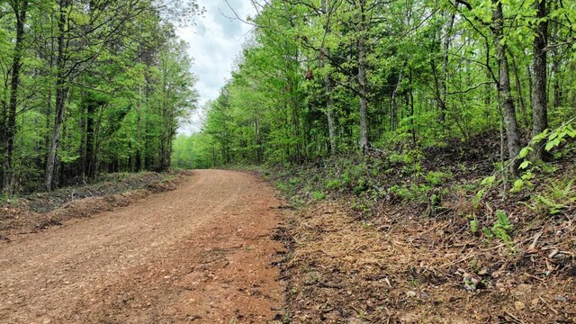 0 Old Mail Rd, Duck River, TN 38454