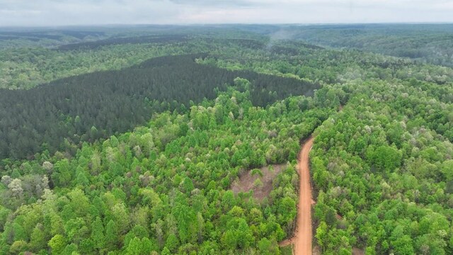 0 Old Mail Rd, Duck River, TN 38454