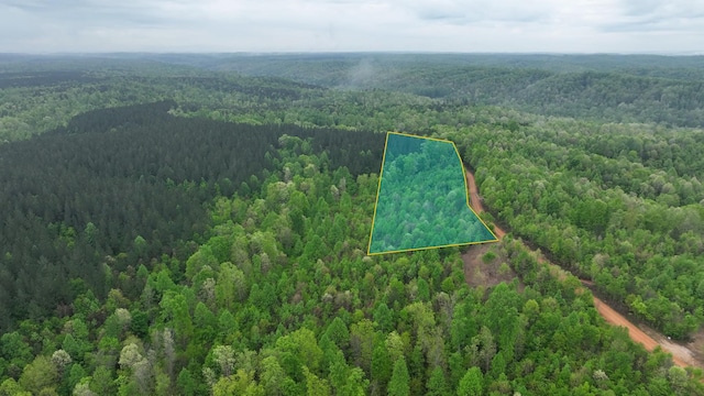 0 Old Mail Rd, Duck River, TN 38454