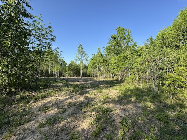 0 Old Mail Rd, Duck River, TN 38454