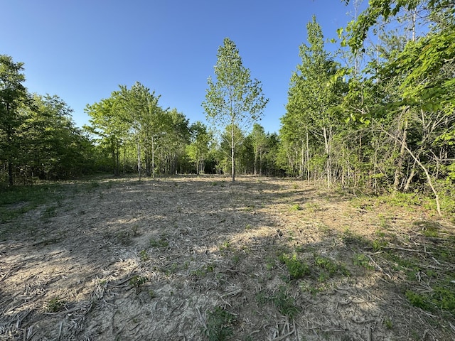 0 Old Mail Rd, Duck River, TN 38454