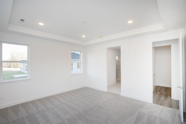 empty room with a wealth of natural light, baseboards, light carpet, and a tray ceiling