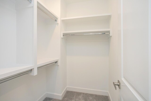 walk in closet with carpet
