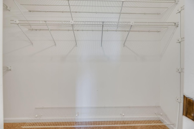 1202 General George Patton Rd, Nashville, TN 37221 - view of spacious closet