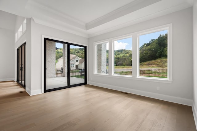 interior space featuring crown molding, light wood-type flooring, a tray ceiling, and baseboards