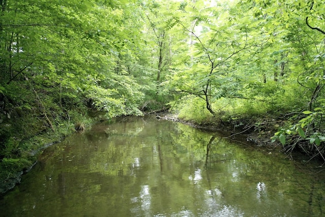 water view with a wooded view