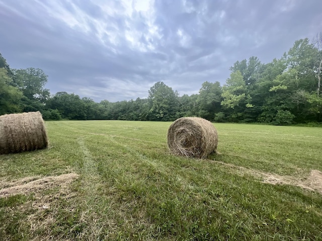 view of yard with a wooded view and a rural view