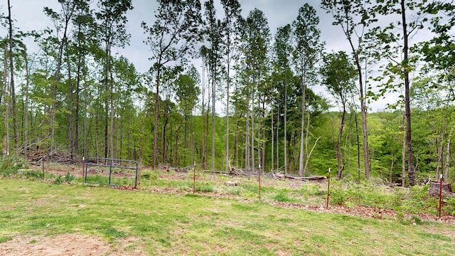 48 Sweet Springs Rd, Kelso, TN 37348 - photo 45