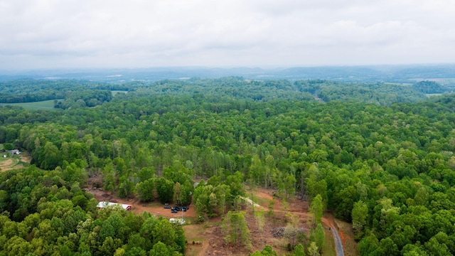 48 Sweet Springs Rd, Kelso, TN 37348 - photo 3