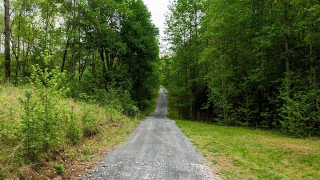 48 Sweet Springs Rd, Kelso, TN 37348 - photo 4