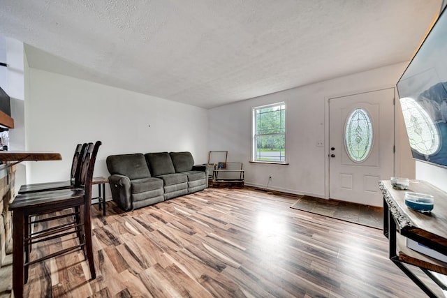 106 Windellwood Cir, Smyrna, TN 37167 - living area featuring light wood-style floors, a textured ceiling, and baseboards