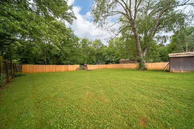 106 Windellwood Cir, Smyrna, TN 37167 - view of yard