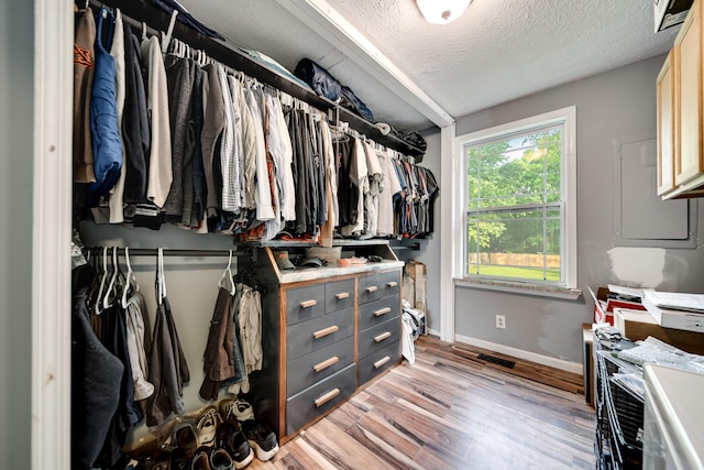 106 Windellwood Cir, Smyrna, TN 37167 - walk in closet with light wood finished floors