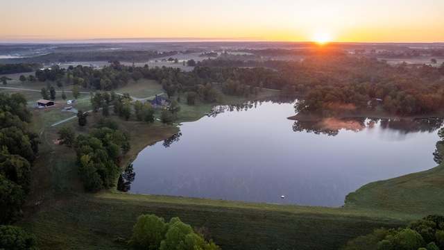 140 Lake Shore Ln, Henderson, TN 38340 - bird's eye view with a water view