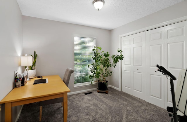 2561 Edinburgh St, Old Hickory, TN 37138 - carpeted office with baseboards, a textured ceiling, and a wealth of natural light
