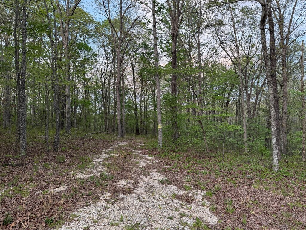 0 Old Richmond Rd, Nunnelly, TN 37137 - photo 3