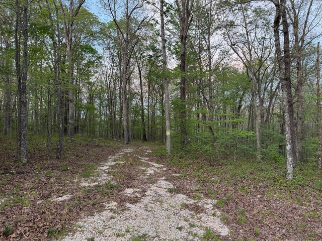 0 Old Richmond Rd, Nunnelly, TN 37137 - photo 3