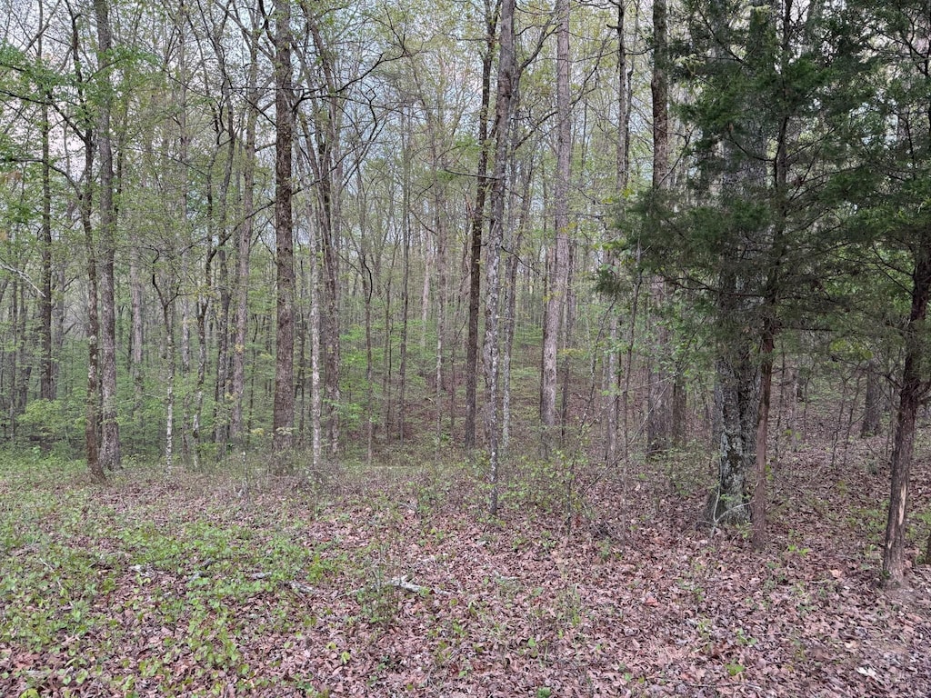 0 Old Richmond Rd, Nunnelly, TN 37137 - photo 1