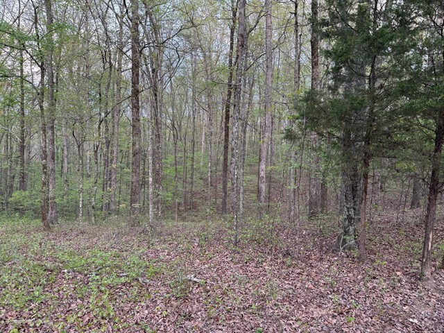 0 Old Richmond Rd, Nunnelly, TN 37137 - photo 1