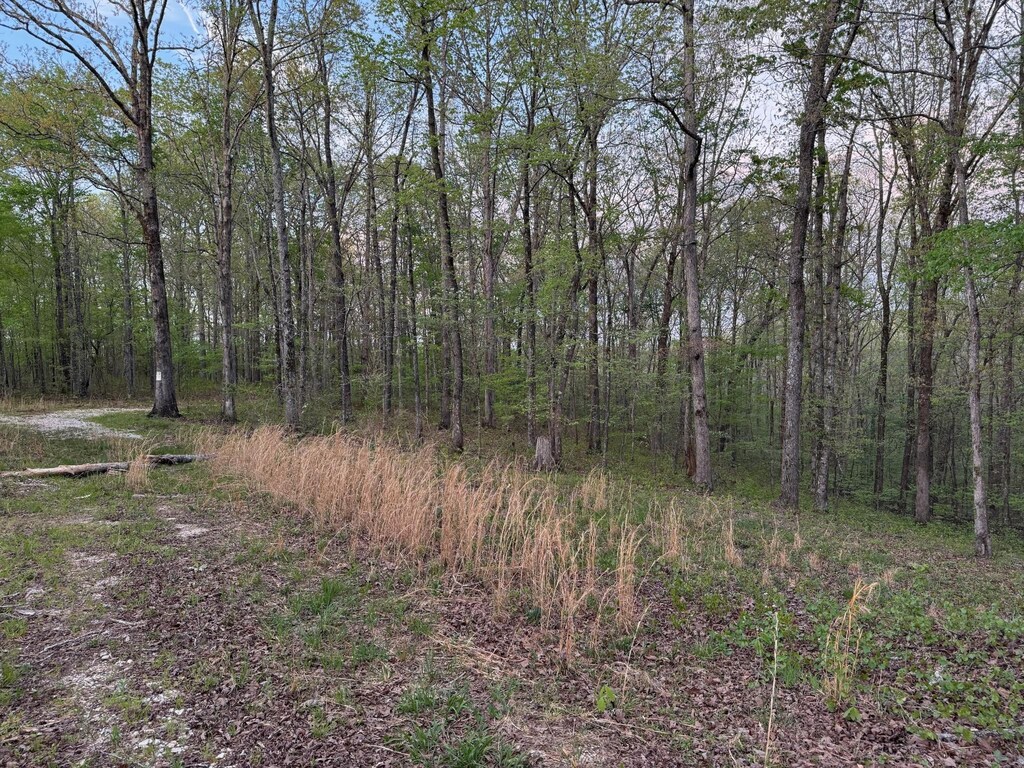 0 Old Richmond Rd, Nunnelly, TN 37137 - photo 2