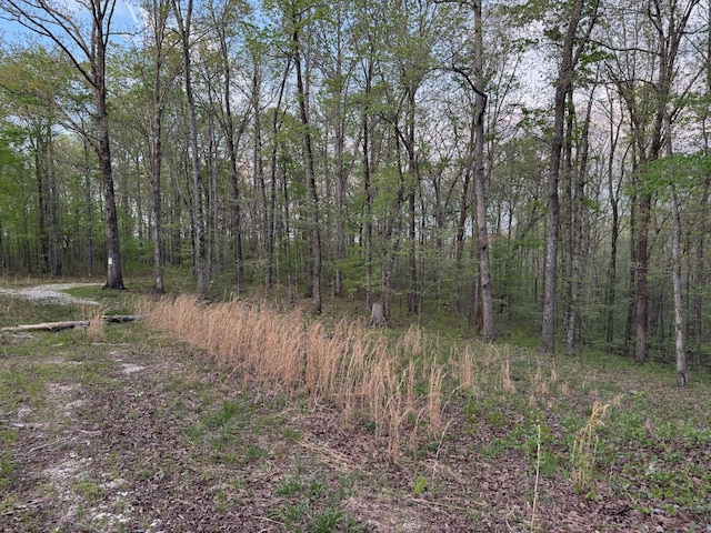 0 Old Richmond Rd, Nunnelly, TN 37137 - photo 2