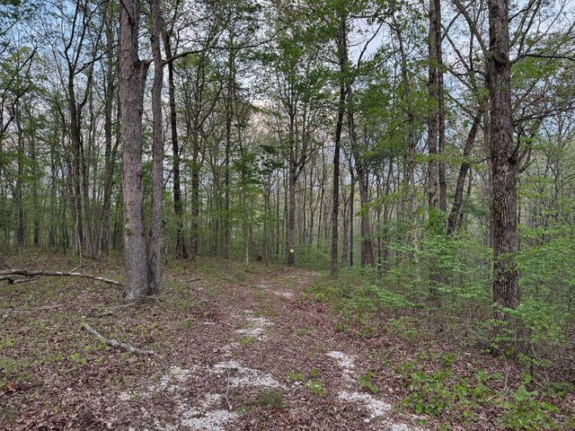 0 Old Richmond Rd, Nunnelly, TN 37137 - photo 4