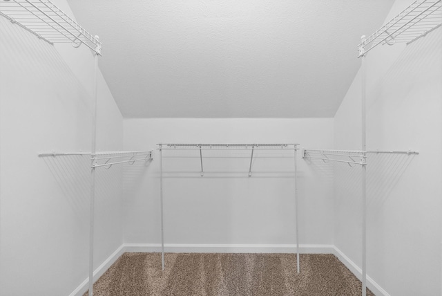 spacious closet featuring lofted ceiling and carpet