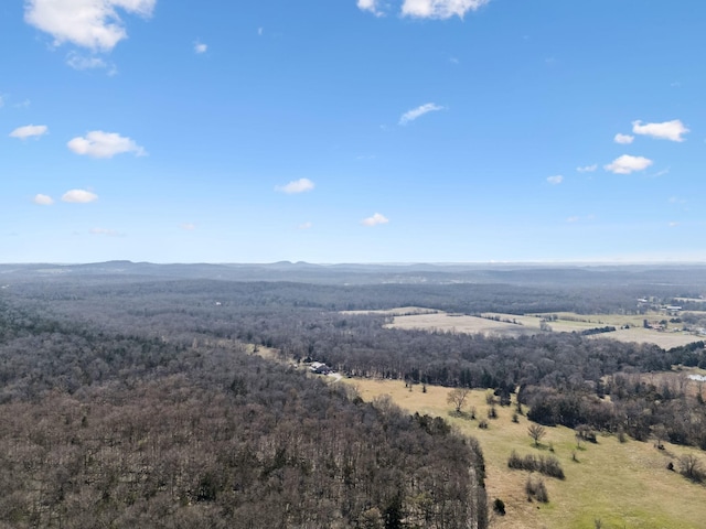 bird's eye view featuring a mountain view and a wooded view