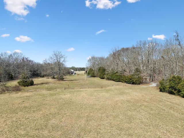 view of yard with a rural view