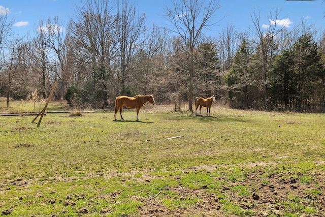 view of yard featuring a rural view