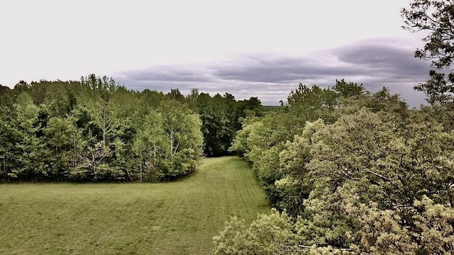 view of local wilderness featuring a forest view