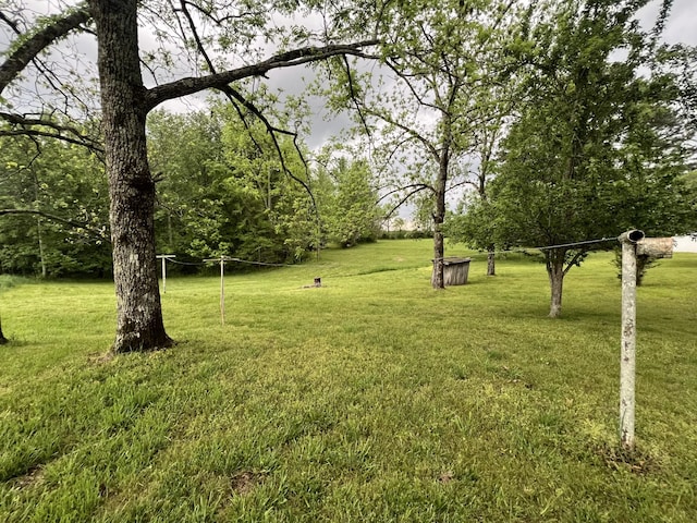 view of yard