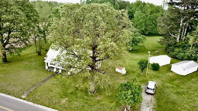 bird's eye view