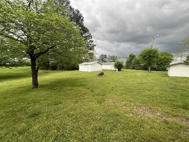 view of yard with an outdoor structure