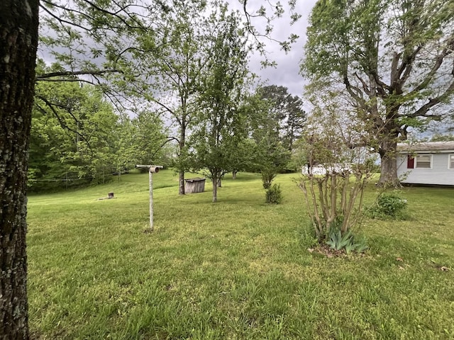 view of yard