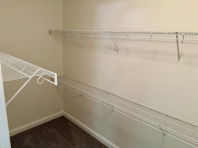walk in closet with dark colored carpet