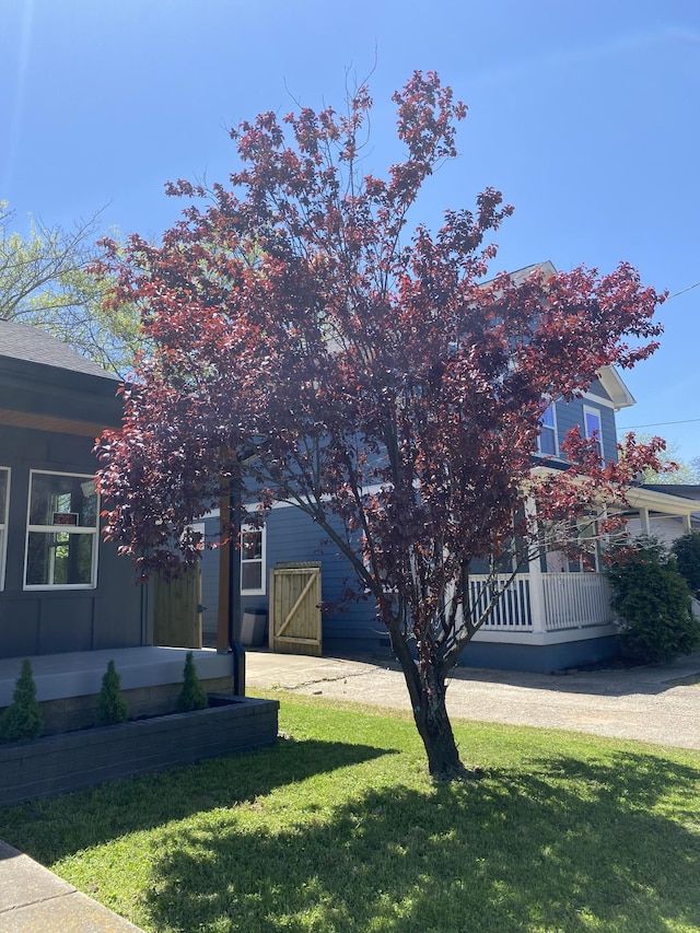 exterior space featuring a yard