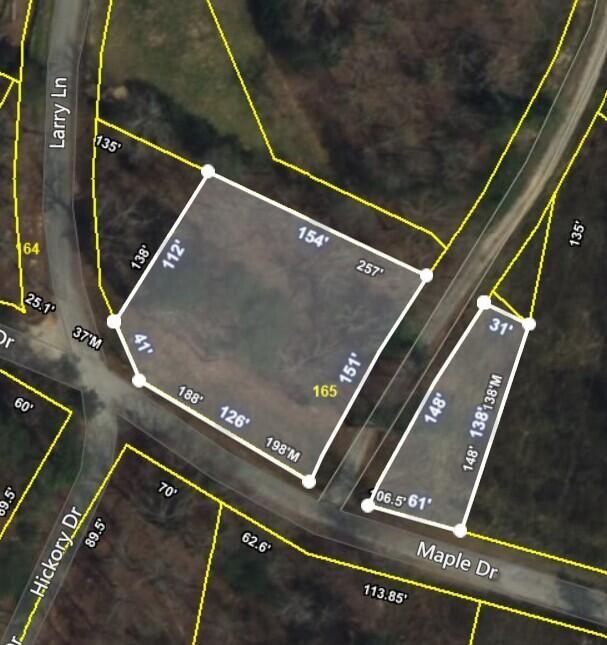 0 Maple Dr, Spring City, TN 37381