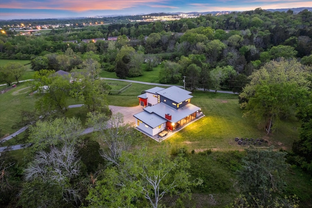 aerial view
