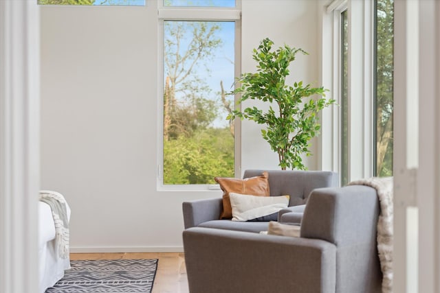 sitting room featuring wood finished floors, plenty of natural light, and baseboards