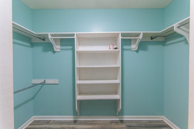 spacious closet with wood finished floors